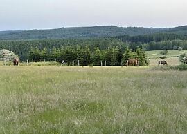 Green Hillside Apartment-petit Wilogne