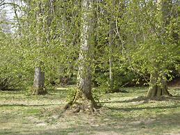 Holiday Home in Fauvillers With Garden