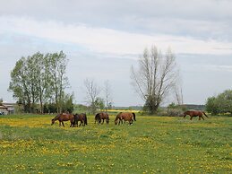 Endearing Apartment in Insel Poel With Sauna