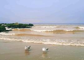 Luxury Apartment Right by the sea