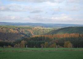 Ardennes View Apartment- Petit Wilogne