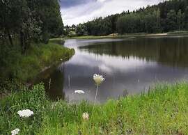 Spacious Apartment near Lake in Guntersberge