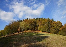 Spacious Apartment near Lake in Guntersberge