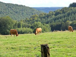 Cozy Holiday Home in Gros-fays With Terrace