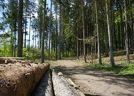 Holiday Home in Reimboldshausen With Balcony