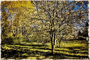 Attraktive Wohnung Landlust in Neuburg