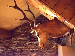 Cozy Holiday Home in Bièvre with Hot Tub