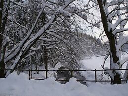 Holiday Home Near ski Area