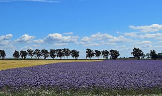 Ferienwohnung Sommerbrise auf der Insel Poel