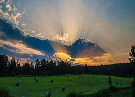 Modern Holiday Home in Oberkirchen With Garden