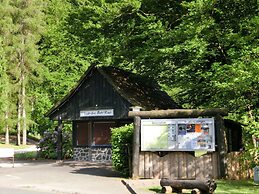 Spacious Apartment in Upper Harz near River