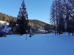Spacious Apartment in Upper Harz near River