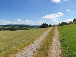 Beautiful Apartment in the Bavarian Forest With Balcony and Whirlpool 