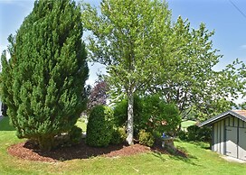 Balcony Views & Forest Calm