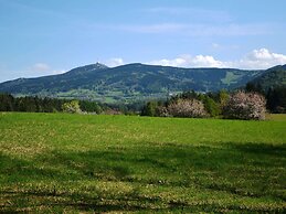Luxury Villa near Forest in Hlavice Czech Republic