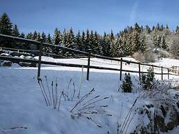 Apartment in the Black Forest With Garden