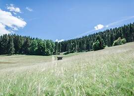 Ferienwohnung im Schwarzwald mit Garten
