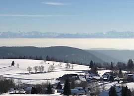 Ferienwohnung im Schwarzwald mit Garten