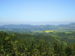 Apartment in the Black Forest With Garden