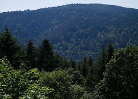 Ferienwohnung im Schwarzwald mit Garten