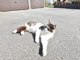 Ferienwohnung am Meer in Rerik