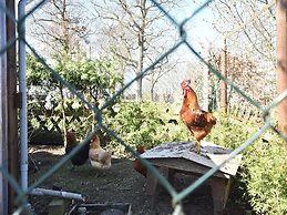 Ferienwohnung am Meer in Rerik