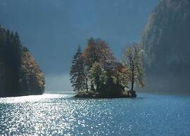 Charming Apartment With Balcony