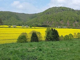 Spacious Holiday Home in Löwensen Lower Saxony near Forest