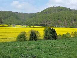 Spacious Holiday Home in Löwensen Lower Saxony near Forest