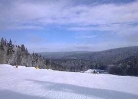 Chalet in Hinterrod Thuringen mit Sauna