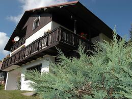 Spacious Cottage in the Giant Mountains, Near the Ski Slopes