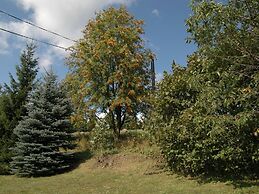 Spacious Cottage in the Giant Mountains, Near the Ski Slopes