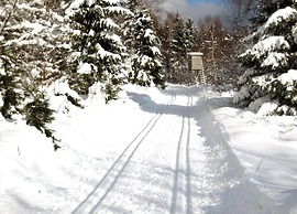 Spacious Holiday Home Near the ski Area