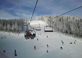 Spacious Holiday Home Near the ski Area