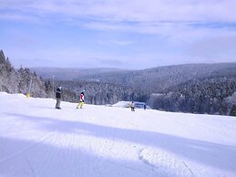Apartment in Schnett Near the ski Area