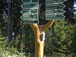 Apartment in Schnett Near the ski Area