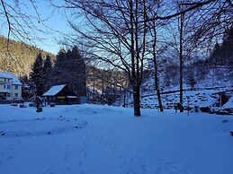 Apartment in the Upper Harz in Wildemann