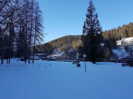 Apartment in the Upper Harz in Wildemann