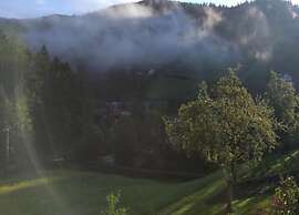 Apartment in Griesbach With Vineyards