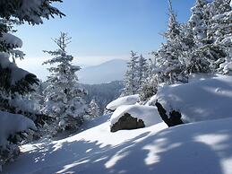 Holiday House in the Bavarian Forest