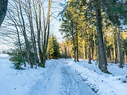 Quaint Holiday Home near Ski Area in Neuastenberg