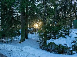 Quaint Holiday Home near Ski Area in Neuastenberg