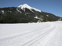Luxury Chalet in Hohentauern near Ski Area