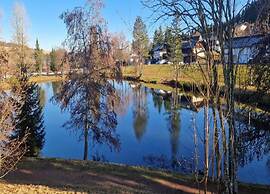 Apartment in the Valley of the Black Forest