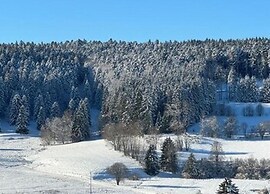 Apartment in the Valley of the Black Forest