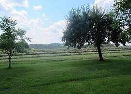 Holiday Home with Garden & Terrace in Bodenwöhr near Hammersee