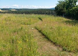 Holiday Home with Garden & Terrace in Bodenwöhr near Hammersee