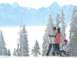 Chalet in Koetschach-mauthen in Carinthia