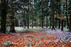 Gruppenvilla mit Waldzugang in Winterberg