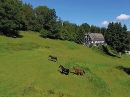 Gruppenvilla mit Waldzugang in Winterberg